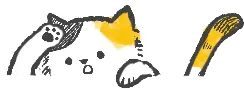 ピックアップ情報